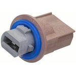 Order Rear Turn Signal Light Socket by BLUE STREAK (HYGRADE MOTOR) - S2390 For Your Vehicle