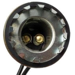 Order Rear Turn Signal Light Socket by BLUE STREAK (HYGRADE MOTOR) - S29 For Your Vehicle