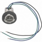 Order Rear Turn Signal Light Socket by BLUE STREAK (HYGRADE MOTOR) - S548 For Your Vehicle