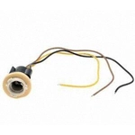 Order Rear Turn Signal Light Socket by BLUE STREAK (HYGRADE MOTOR) - S77 For Your Vehicle