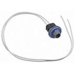 Order Rear Turn Signal Light Socket by BLUE STREAK (HYGRADE MOTOR) - S789 For Your Vehicle