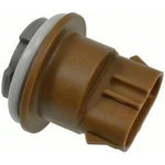 Order Rear Turn Signal Light Socket by BLUE STREAK (HYGRADE MOTOR) - S808 For Your Vehicle