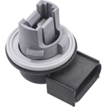 Order BWD AUTOMOTIVE - PT2593 - Tail Lamp Socket For Your Vehicle