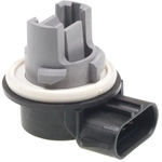 Order BWD AUTOMOTIVE - PT5596 -  Tail Lamp Socket For Your Vehicle