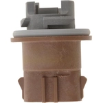 Order Rear Turn Signal Light Socket by DORMAN/CONDUCT-TITE - 84768 For Your Vehicle