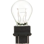 Order Rear Turn Signal (Pack of 10) by PHILIPS - 3047LLCP For Your Vehicle