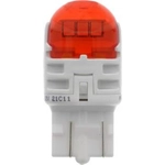 Order Rear Turn Signal by PHILIPS - 7443ALED For Your Vehicle