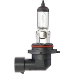 Order PHILIPS - 9006MDC1 - Turn Signal Light Bulb For Your Vehicle