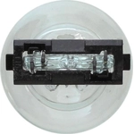 Order Rear Turn Signal by WAGNER - BP3057 For Your Vehicle