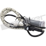 Order WALKER PRODUCTS - 241-1234 - Rear Passenger Side ABS Wheel Speed Sensor For Your Vehicle