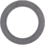 Order Rear Wheel Bearing Retainer by DANA SPICER - 10052556 For Your Vehicle