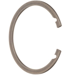 Order SCHAEFFLER - WR0210 - Rear Wheel Bearing Retainer For Your Vehicle