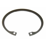 Order SKF - CIR237 - Rear Wheel Bearing Retainer For Your Vehicle