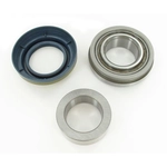 Order SKF - BR20 - Rear Wheel Bearing For Your Vehicle