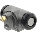 Order Rear Wheel Cylinder by RAYBESTOS - WC37784 For Your Vehicle