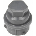 Order Couvercle d'écrou de roue arrière de DORMAN/AUTOGRADE - 711-023 For Your Vehicle