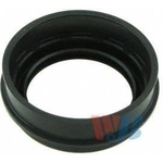 Order Rear Wheel Seal by WJB - WS1956 For Your Vehicle