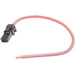 Order STANDARD - PRO SERIES - S843 - Horn Connector For Your Vehicle