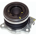 Order Release Bearing And Cylinder Assembly by PERFECTION CLUTCH - 900102 For Your Vehicle