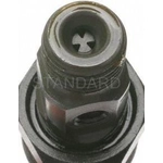 Order Remanufactured Fuel Injector by BLUE STREAK (HYGRADE MOTOR) - FJ252 For Your Vehicle