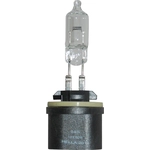 Order Replacement Bulb by HELLA - 885 For Your Vehicle