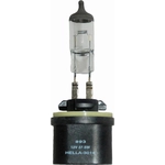 Order Replacement Bulb by HELLA - 893 For Your Vehicle
