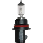 Order Replacement Bulb by HELLA - 9004LL For Your Vehicle