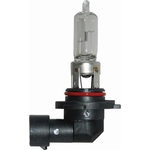 Order Replacement Bulb by HELLA - 9005 For Your Vehicle