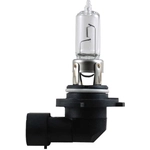 Order Replacement Bulb by HELLA - 9005P50 For Your Vehicle