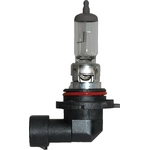 Order Replacement Bulb by HELLA - 9006-80W For Your Vehicle