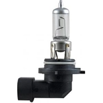 Order Replacement Bulb by HELLA - 9006P50 For Your Vehicle