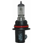 Order Replacement Bulb by HELLA - 9007-100/80W For Your Vehicle