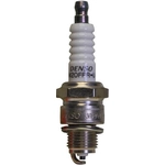 Order Resistor Spark Plug by DENSO - 3070 For Your Vehicle