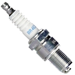 Order NGK CANADA - 4922 - Resistor Spark Plug (Pack of 4) For Your Vehicle