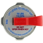 Order Capuchon d' aérateur sécurité de MOTORAD - ST16V For Your Vehicle