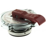 Order Safety Vent Cap by MOTORAD - ST9 For Your Vehicle