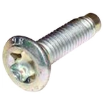 Order CROWN AUTOMOTIVE JEEP REPLACEMENT - 6509101AA - Rear Hinge Screw For Your Vehicle