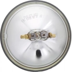 Order Sealed Beam by PHILIPS - 4435C1 For Your Vehicle