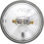 Order Sealed Beam by PHILIPS - 4589C1 For Your Vehicle