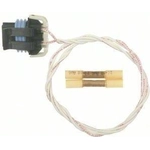 Order Seat Belt Connector by BLUE STREAK (HYGRADE MOTOR) - S1218 For Your Vehicle