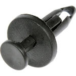 Order Seat Belt Retainer by DORMAN - 700-579 For Your Vehicle