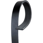 Order ACDELCO - 12593774 - V-Ribbed Serpentine Belt For Your Vehicle