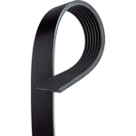 Order Serpentine Belt by ACDELCO - 12634319 For Your Vehicle
