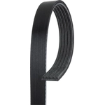 Order Serpentine Belt by ACDELCO - 5K404 For Your Vehicle