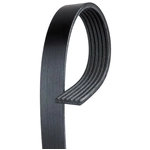 Order ACDELCO - 6K1015 - Standard V-Ribbed Serpentine Belt For Your Vehicle
