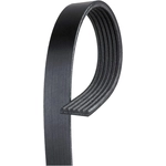 Order ACDELCO - 6K952 - V-Ribbed Courroie serpentine For Your Vehicle