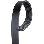 Order ACDELCO - 6K448 - V-Ribbed Serpentine Belt For Your Vehicle