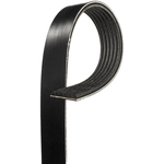 Order ACDELCO - 6K880A - Standard V-Ribbed Serpentine Belt For Your Vehicle