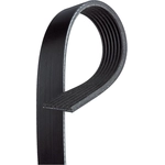 Order Serpentine Belt by ACDELCO - 7K669 For Your Vehicle