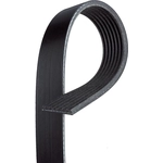 Order ACDELCO - 7K683 - Standard V-Ribbed Serpentine Belt For Your Vehicle